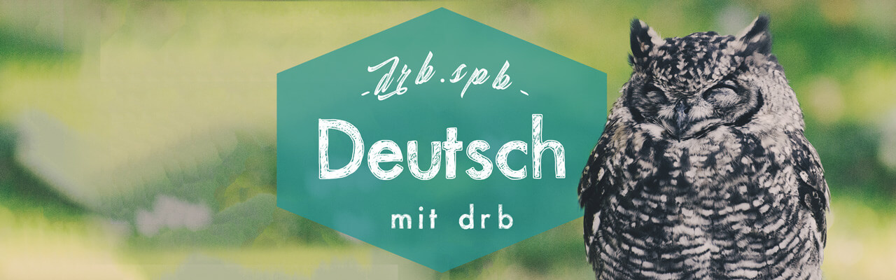 Как преподаватели немецкого языка в drb играют в “Я никогда не…”