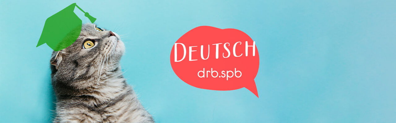 Знакомимся с немецким языком вместе с котиками!
